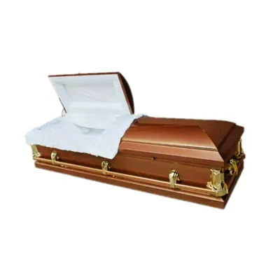 Plastic corner and steel pipe handle for casket 2211 side view