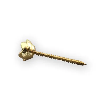 Shining Gold Wooden Coffin Screw and Rose Design for Coffin Lid Decoration (ref 8024) detail view